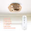 Ventilateur de plafond en cage en rotin 13,5 po Borup avec lumières et télécommande Borup