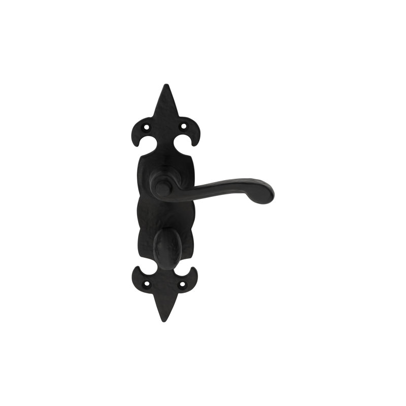 Larson Bathroom Door Handle