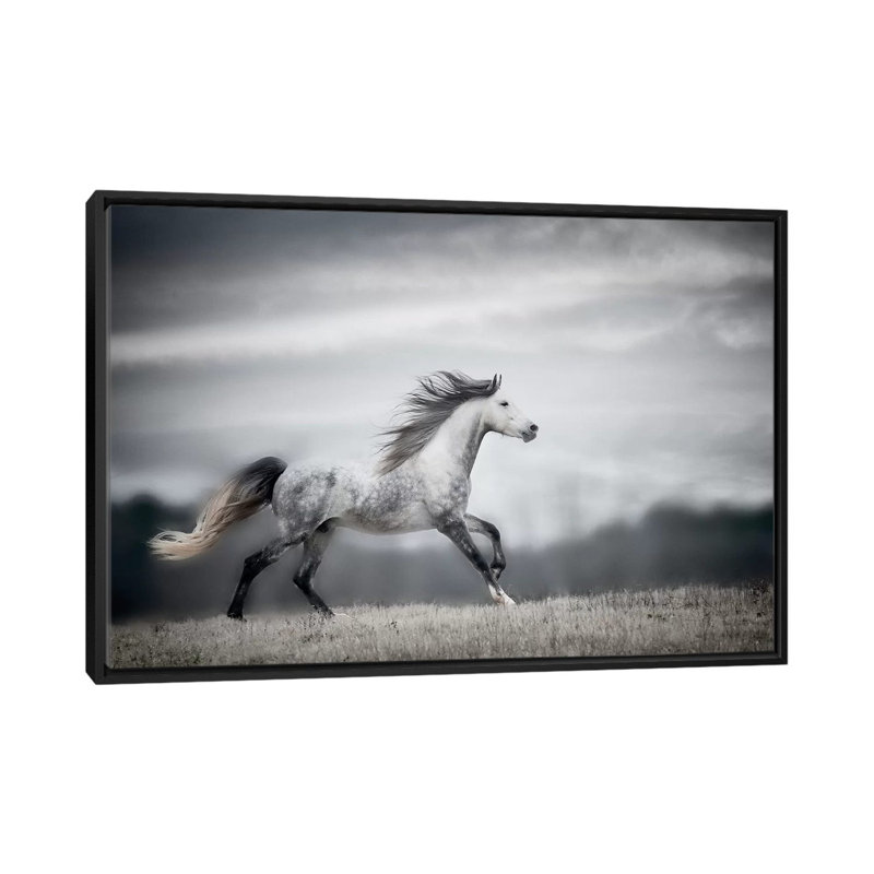 «Wind Blown Mane II» par PH Burchett - Impression sur toile, H 18 po x l 26 po x P 1,5 po, Toile encadrée noire, Pas de tapis