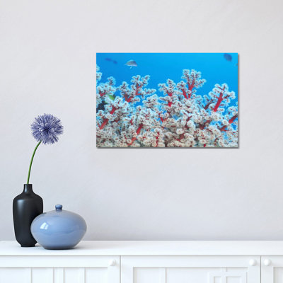 Red & White Gorgonian Coral by Unknown Artist - Wrapped Canvas Print