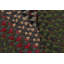 One-of-a-Kind Oval 4’x5’ Area Rug