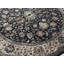 Wool Oriental Area Rug
