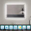 Conisha Rectangle Mirror-801045815