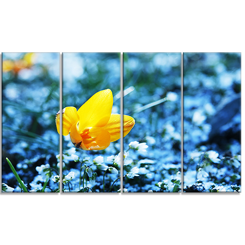 « belle fleur jaune sur bleu », ensemble de 4 reproductions de photos sur toiles tendues