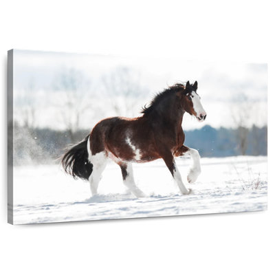 Brampt Clydesdale Horse In Winter