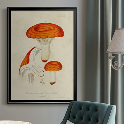 Mushroom Variétés, reproduction d'art sur toile