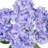 Artificial Hydrangea Flower Stem-1352487569