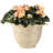 Frew Pot Planter-458366409-458366414