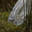 Waterford Lismore Essence Vase-503232222
