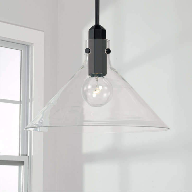 1 - Light Single Pendant, Matte Black
