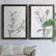 CHARCOAL FOLIAGE I - impression 2 pièces-103841429-103841430