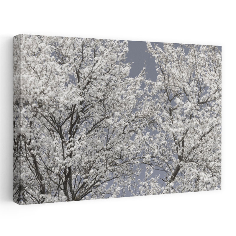 Art mural éthéré à fleurs blanches délicates, H 12 po x l 18 po