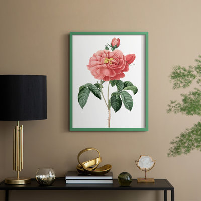 «Botanical Beauty III», reproduction encadrée - bois massif