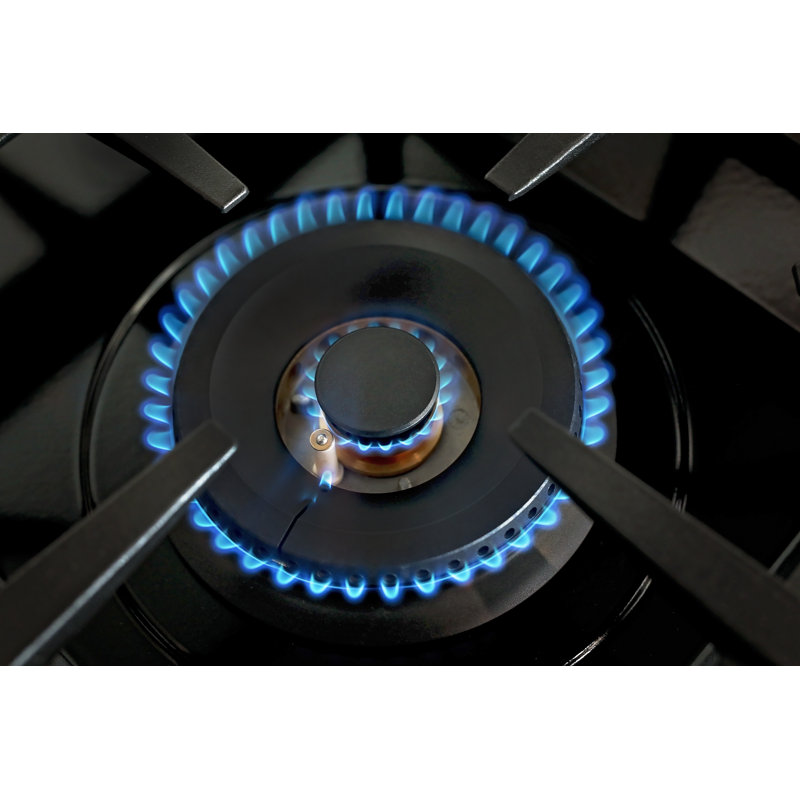 60 In. 7.9 Cu. Ft. 10 Burners Dual Fuel Range For Propane Gas In Stainless Steel With Kucht Horus Thermostat, Stainless Steel