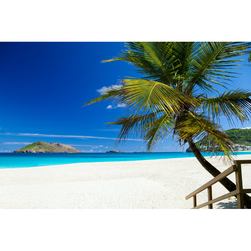 Beach with a Palm Tree by Cdwheatley, 20" H x 30" W