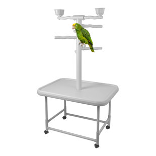 Tour de jeu en plastique acrobird