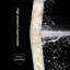 Rideau de douche en polyester-1212437153