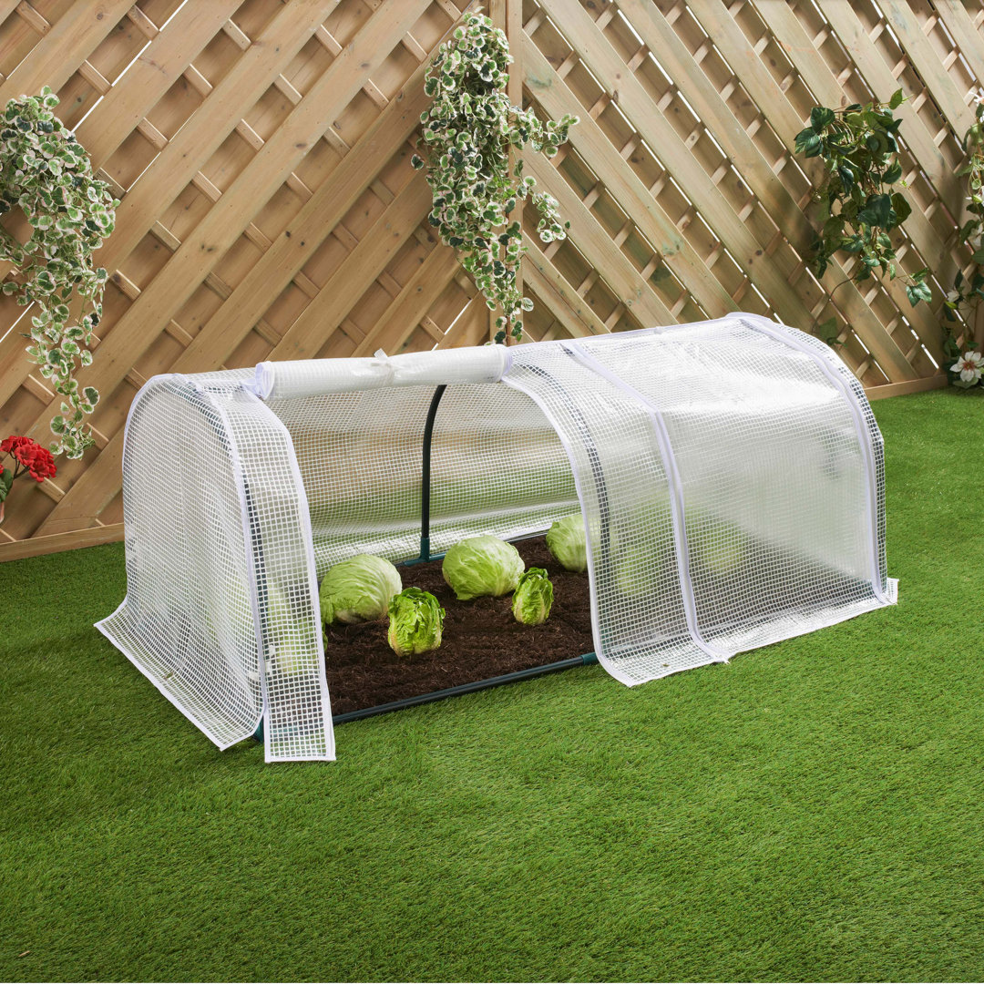 Mini Greenhouse