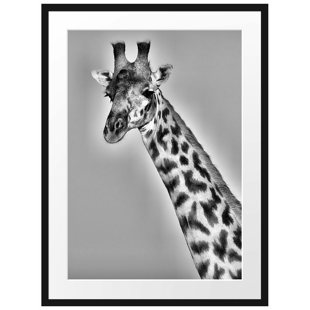 Gerahmtes Poster Majestätische Giraffe