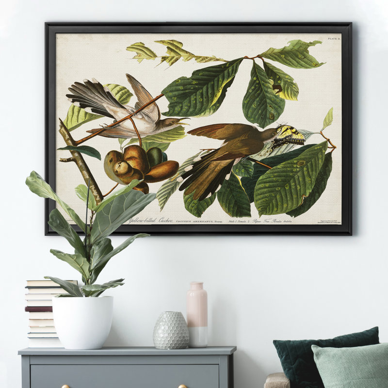 «Pl 2 Yellow Billing Cuckoo» - Cadre photo, impression sur toile, H 18,5 po x l 24,5 po x P 1,5 po, Noir