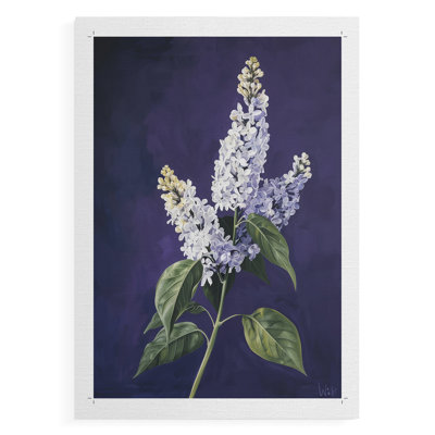 FLORAL Series CCxxxiv - Impression sur toile seulement - non encadrée