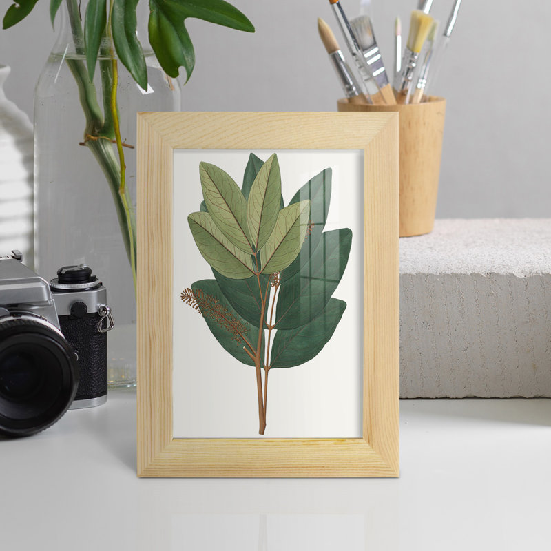 Fall Foliage IV, reproduction d'art encadrée, H 7 po x l 5 po x P 1 po, Naturel