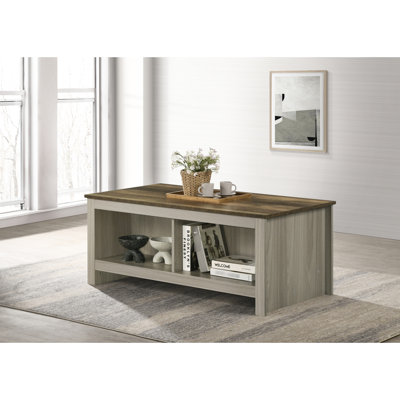 Table basse chic en chêne gris de 109 cm de large avec étagères ouvertes de chaque côté et plateau spacieux, fini noyer.