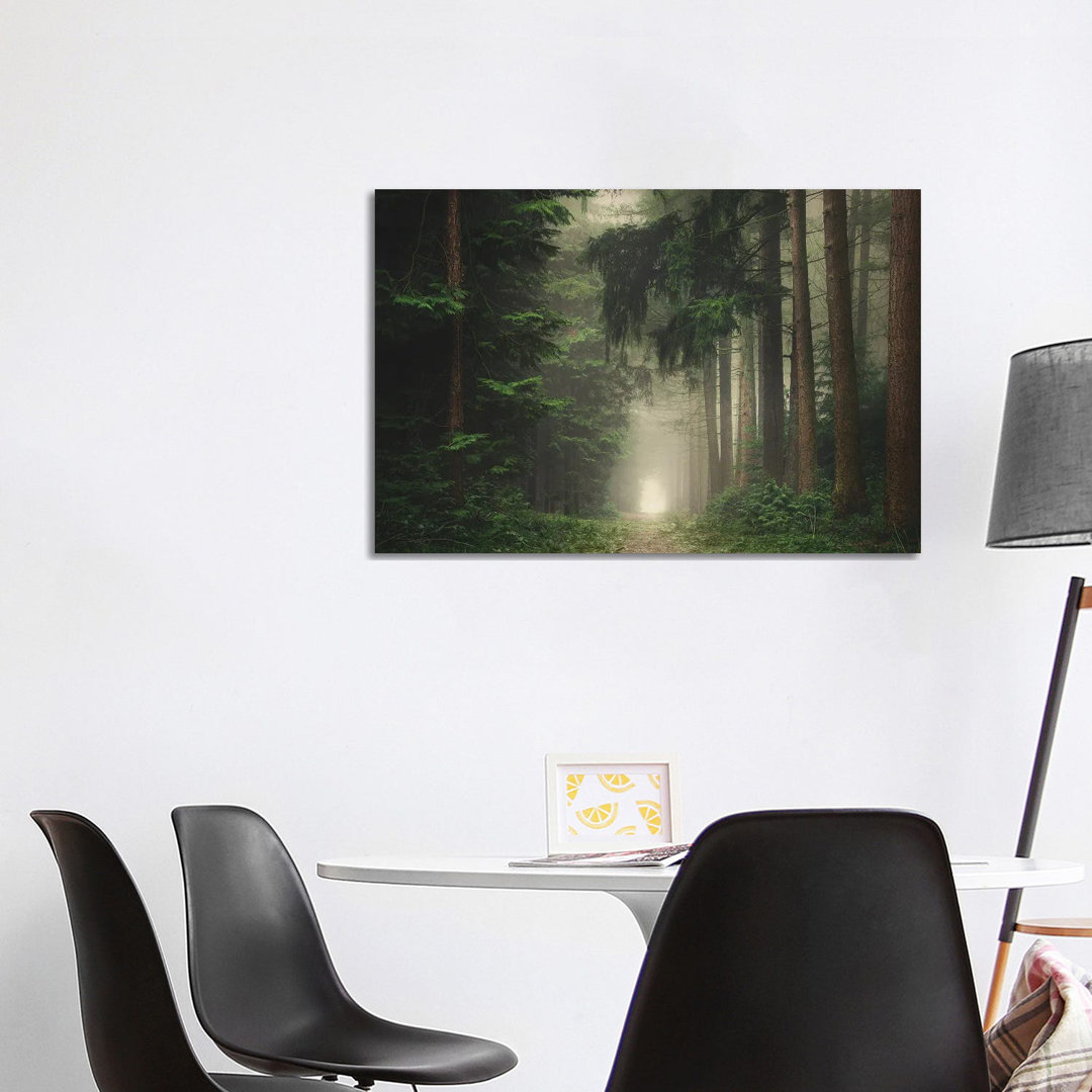 Grüner nebliger und stimmungsvoller Wald von Rob Visser - Galerie-verpackte Leinwand Giclée