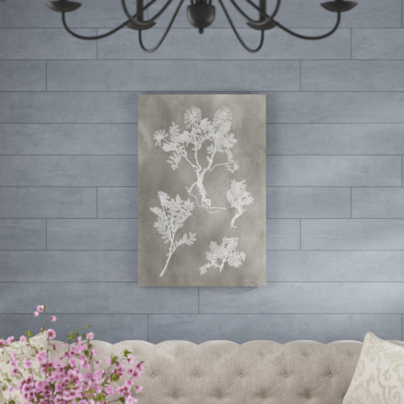 «Herbarium Study II» par Vision Studio, reproduction d'art sur toile, H 36 po x l 24 po, Toile tendue
