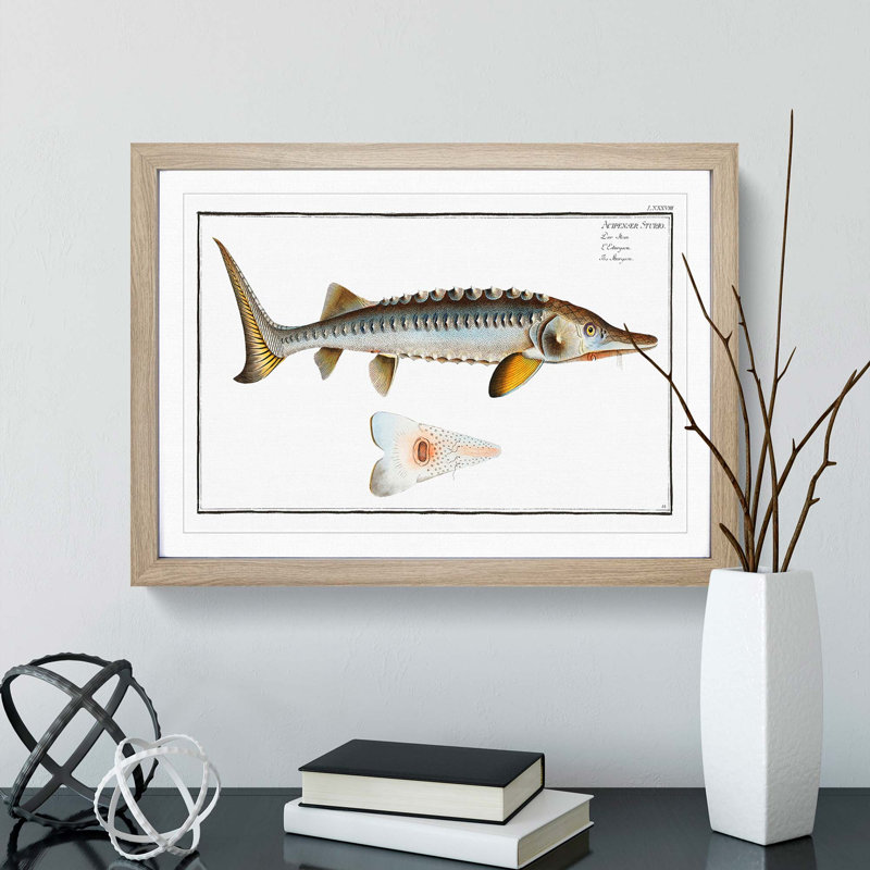 Sturgeon Fish by M.E. Bloch - Picture Frame Painting Print, 36cm H x 48cm W x 2cm D, Oak Framed