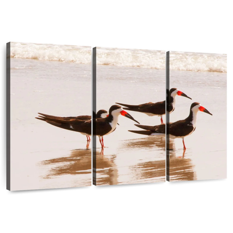 Brampt A Few Black Skimmers I, 20" H x 33" W