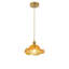 1-Copper colored iron glass dimmable pendant light