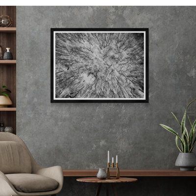 Tree Tops III en noir et blanc par Tim Klein - reproduction de photo sur papier encadrée