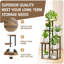Plant Stand - Set of 7