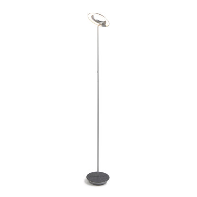 Royyo LED Floor Lamp