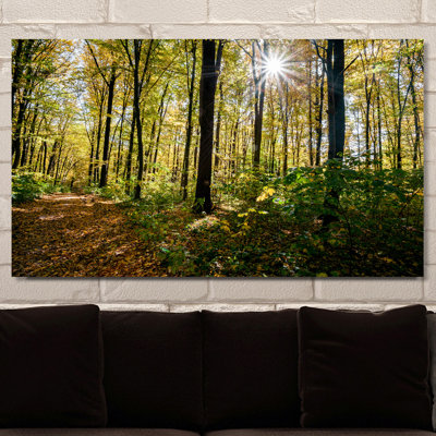 " Forest Trees "