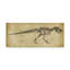 « tyrannosaure rex study », reproduction d’art sur toile tendue-33418315