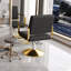 Fauteuil inclinable hydraulique pivotant à 360 ° - Conception de pompe, non inclinable, pour les cheveux / tatouer / beauté