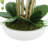 Orchid Arrangement in Fiberstone Planter-1871979269