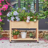 Alhanouf Wood Raised Garden Bed