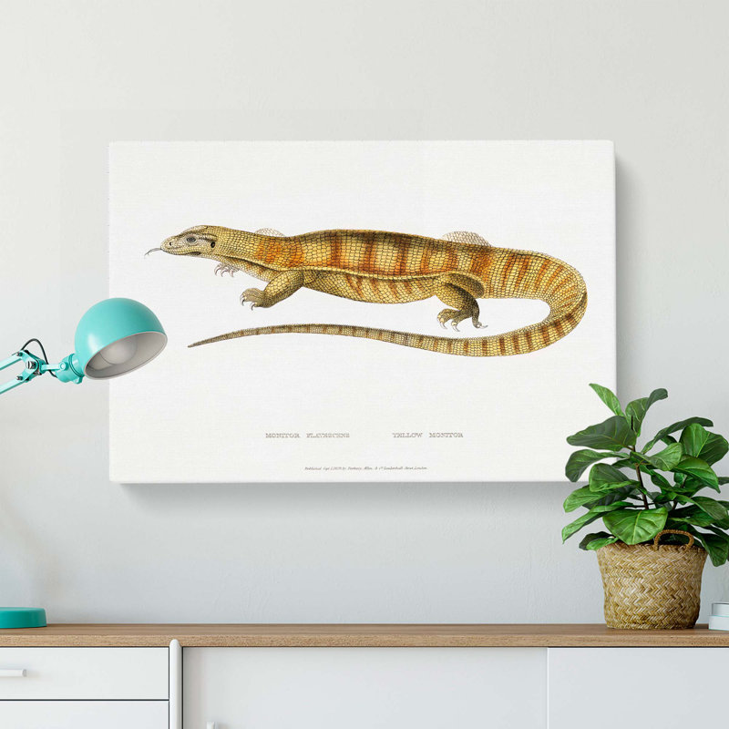 Yellow Monitor Lizard by John Edward Gray - Wrapped Canvas, 40cm H x 60cm W x 3cm D