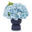 Genevieve Realtouch Hydrangea Arrangement-427545673