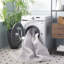 Tucson Vintage Look Machine Washable Non-Slip Area Rug in White/Grey-1001588671
