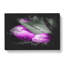 Bunch Of Purple Tulips - Wrapped Canvas-56647916
