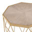Nayi Frame End Table