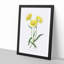 Yellow Starflowers - Framed Print-55629396-55629397