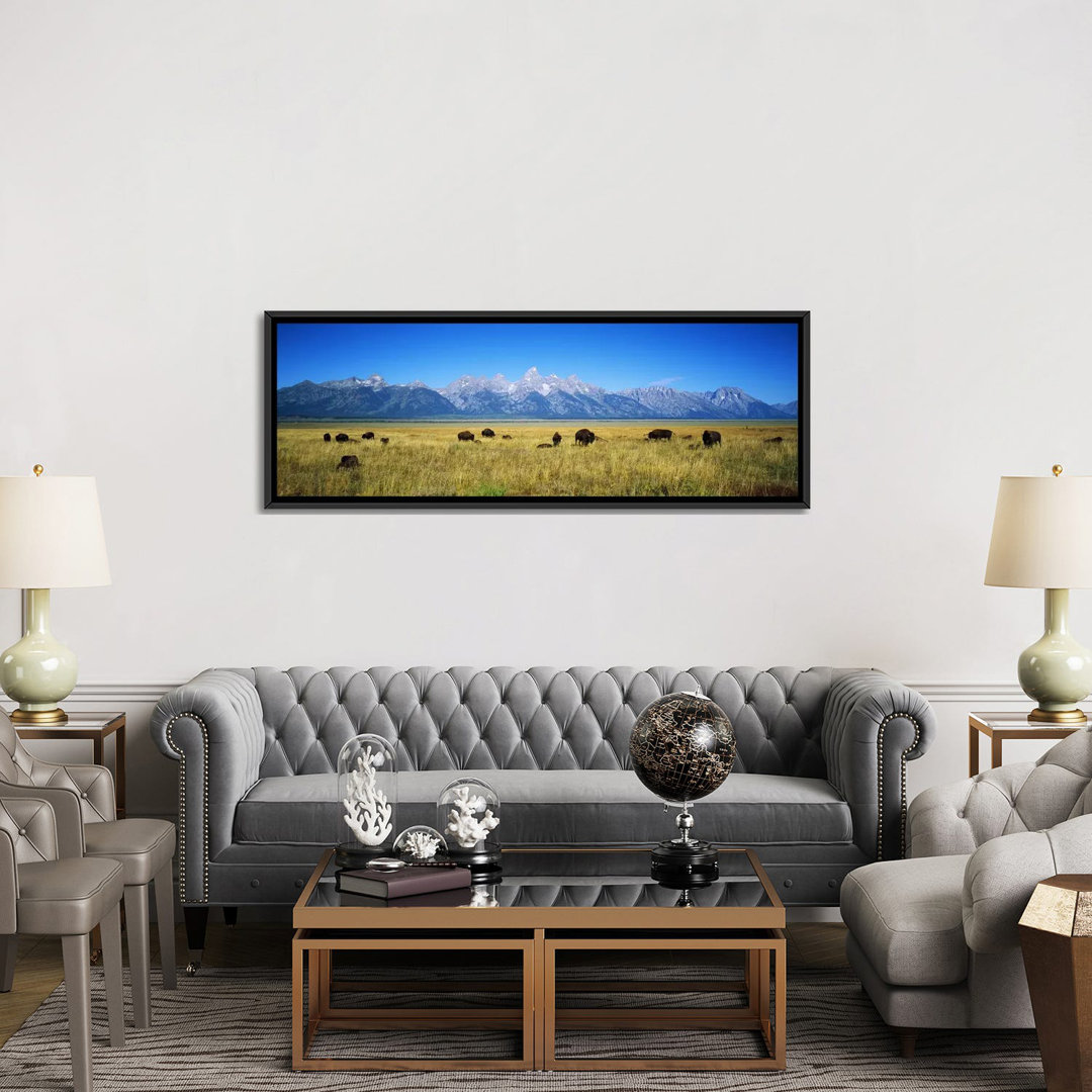 " Field Of Bison With Mountains In BackgroundGrand Teton National Park, Wyoming, USA " by Panoramic Images East Urban Home 