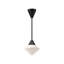Luminaire suspendu étoile unique à 1 lumière Orrin-66310599-66310600