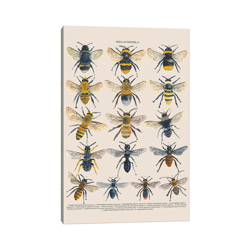 Bees by Michelle Campbell - Wrapped Canvas Print, 101.6 cm H x 66.04 cm W x 1.91 cm D