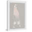 Lady In Pink by Parvez Taj - Single Picture Frame Painting-46373477